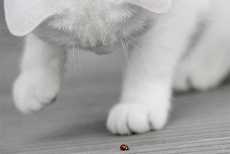 Test 2