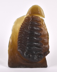 Trilobit