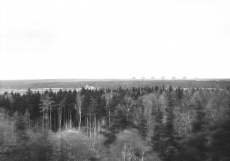 Z cyklu Zemská fotografie II.