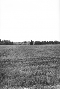 Z cyklu Zemská fotografie III.