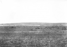 Z cyklu Zemská fotografie VII.