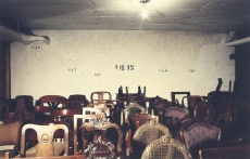 Section Cinema