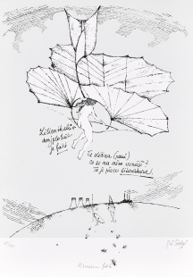 Literatura faktu, 2 ks