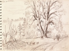 Skicák s kresbami, 85 ks