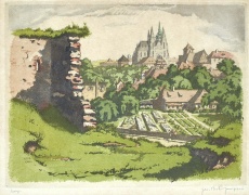 Pražský hrad