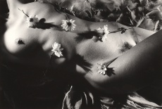 Dream