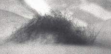 Vlna II.
