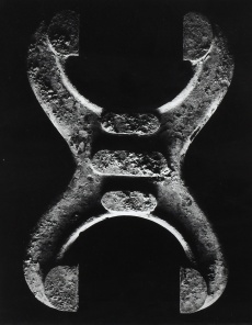 Sevřený